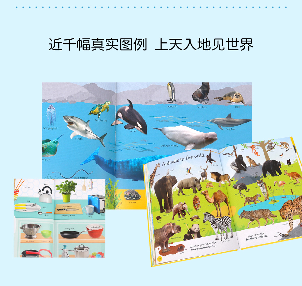 1000-useful-words---2_05.jpg
